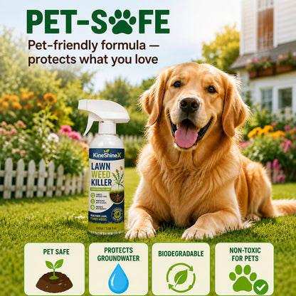 [Easy and stress-free weeding in the garden] Herbicide for domestic use